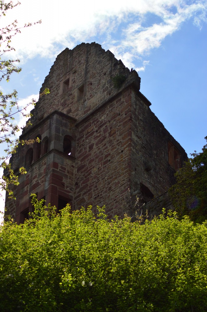 Blick auf das ehemalich Herrenhaus der Minneburg bei Neckargerach/Guttenbach.18.4.2014