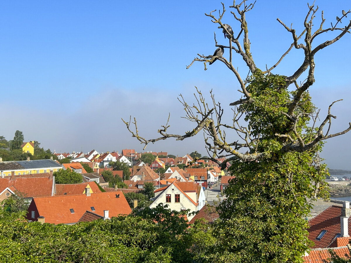 Blick auf Gudhjem vom Hgel bei der Kirche von Gudhjem (Insel Bornholm). Aufnahme: 17. Juni 2023.