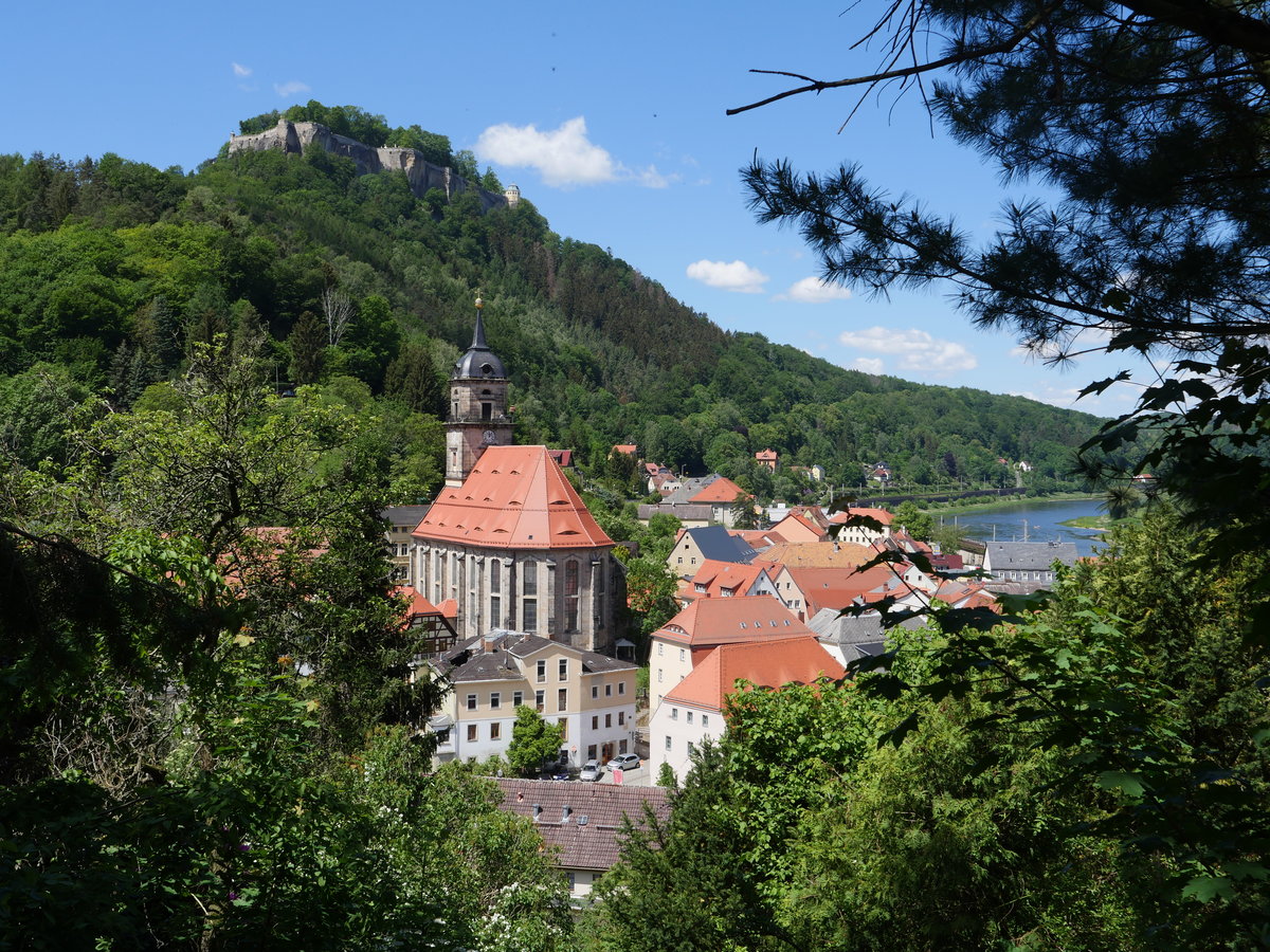 Blick auf Kirche und Festung (240 Meter ber der Elbe) Knigstein (Schsische Schweiz); 29.05.2020
