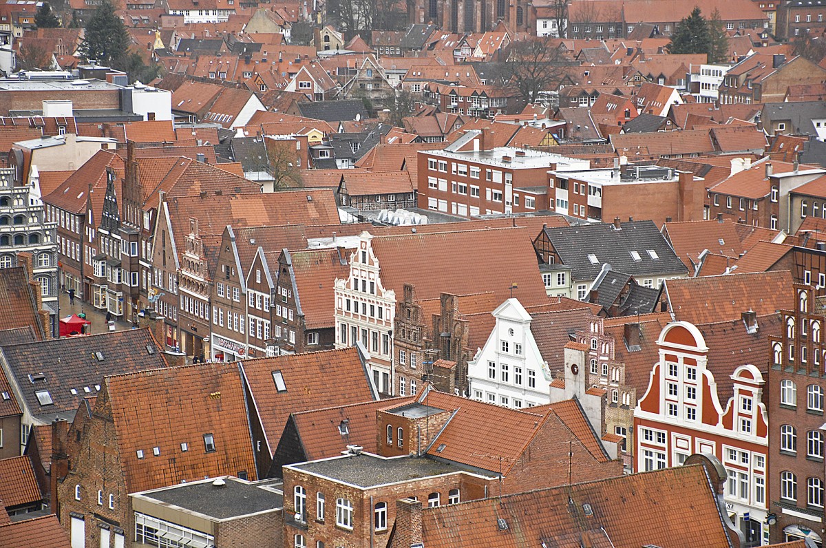 Blick auf die Lneburger Altstadt vom Wasserturm. 30. Januar 2016.