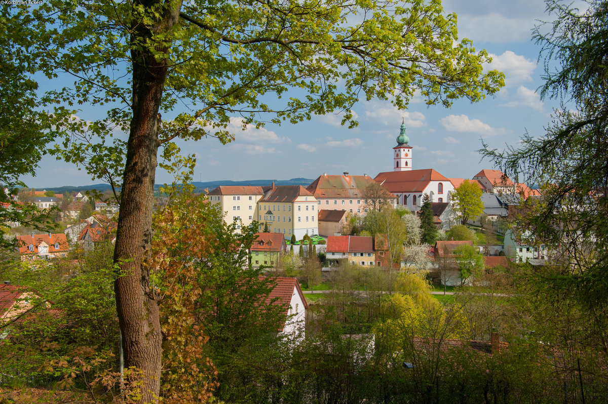 Blick auf den Ortskern von Tirschenreuth vom Mhlbhl aus gesehen, 21.04.2018