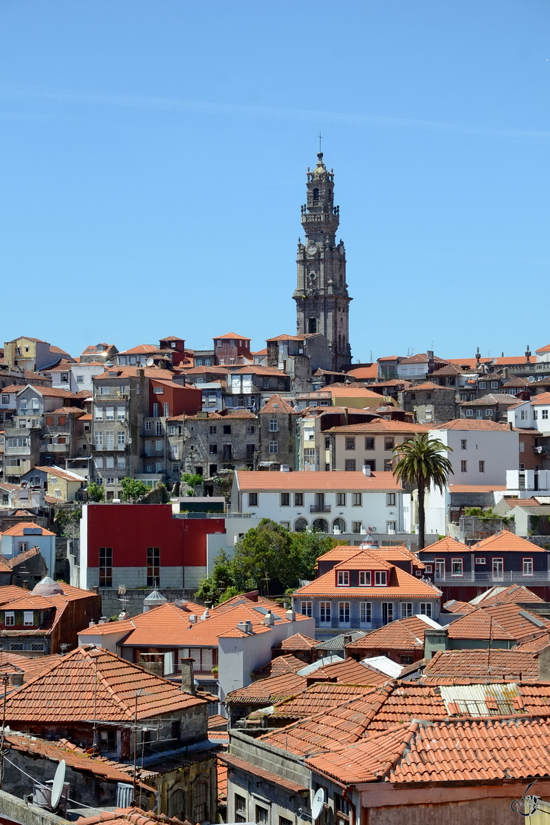 Blick auf Porto mit dem alles berragenden Torre dos Clrigos, dem Wahrzeichen der Stadt. (Mai 2013)