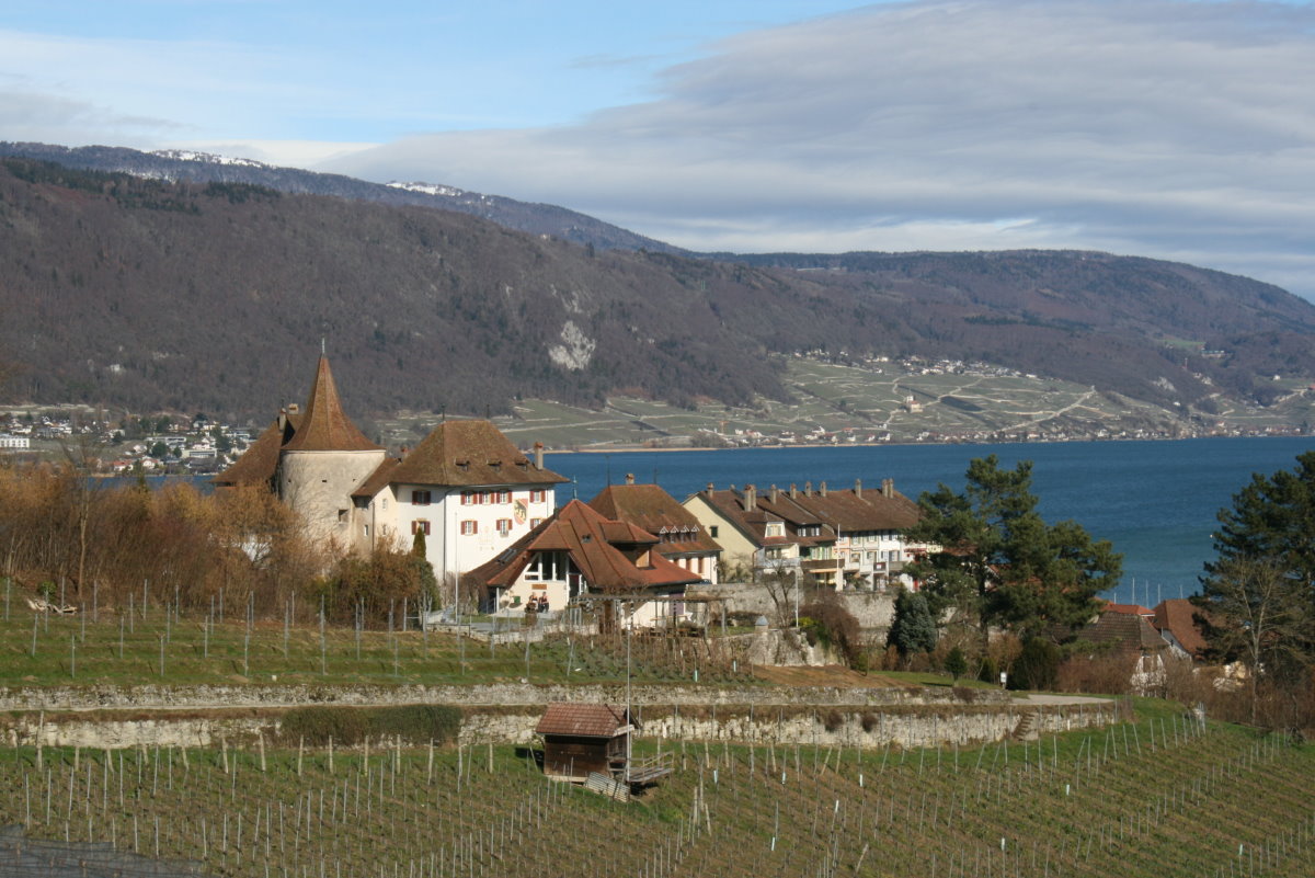 Blick auf das Schloss Erlach; 20.02.2016