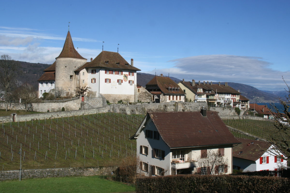 Blick auf das Schloss Erlach; 20.02.2016