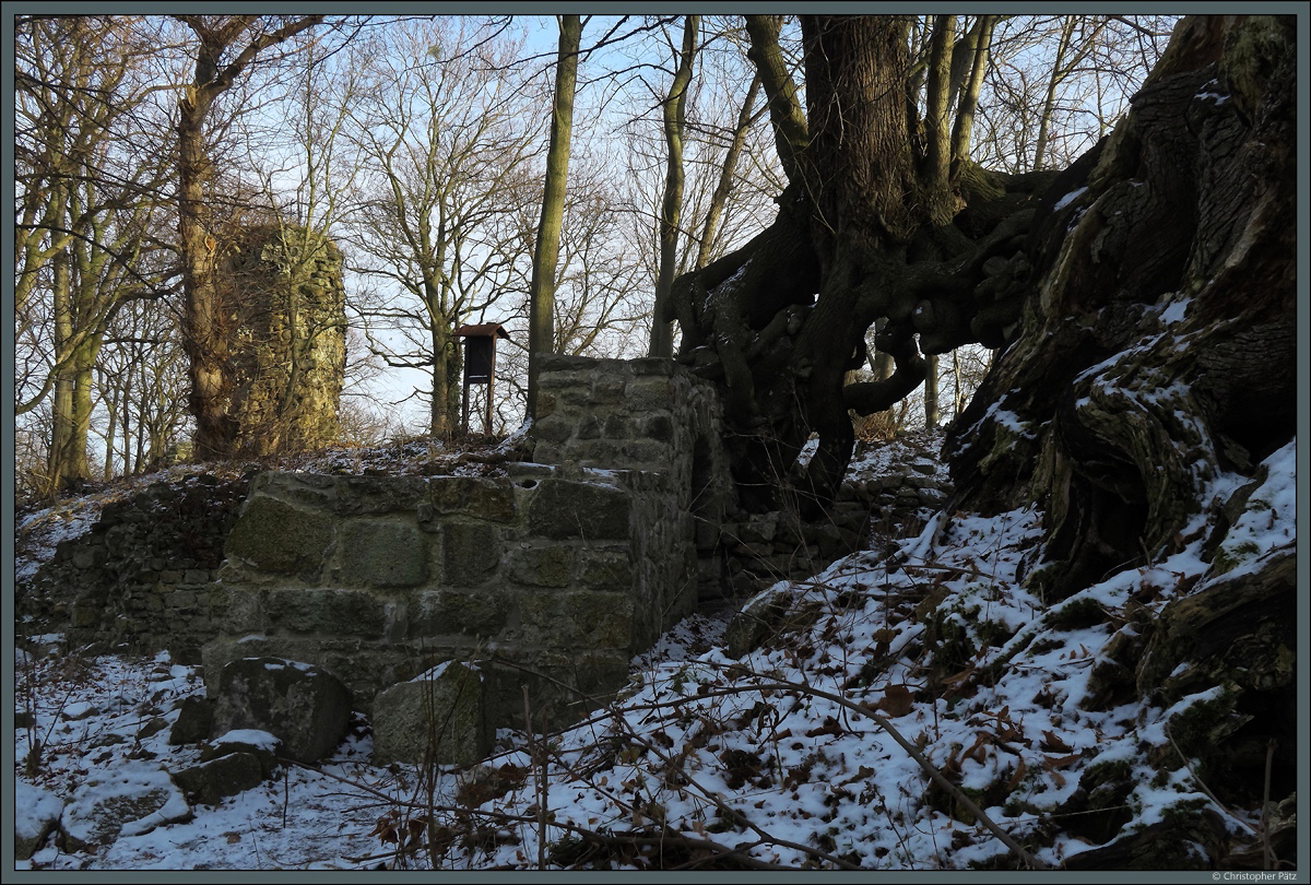 Blick auf den  Schwebenden Baum  und Reste des Innentores sowie die Ruine des Bergfriedes der Lauenburg. (bei Stecklenberg, 19.01.2019)