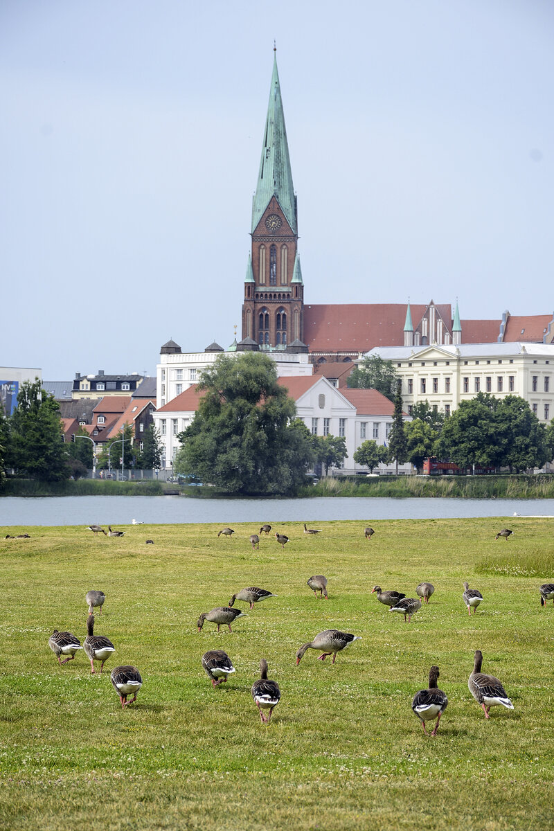 Blick auf den Schweriner Dom von der Schwimmenden Wiese. Aufnahme: 17. Juni 2022.