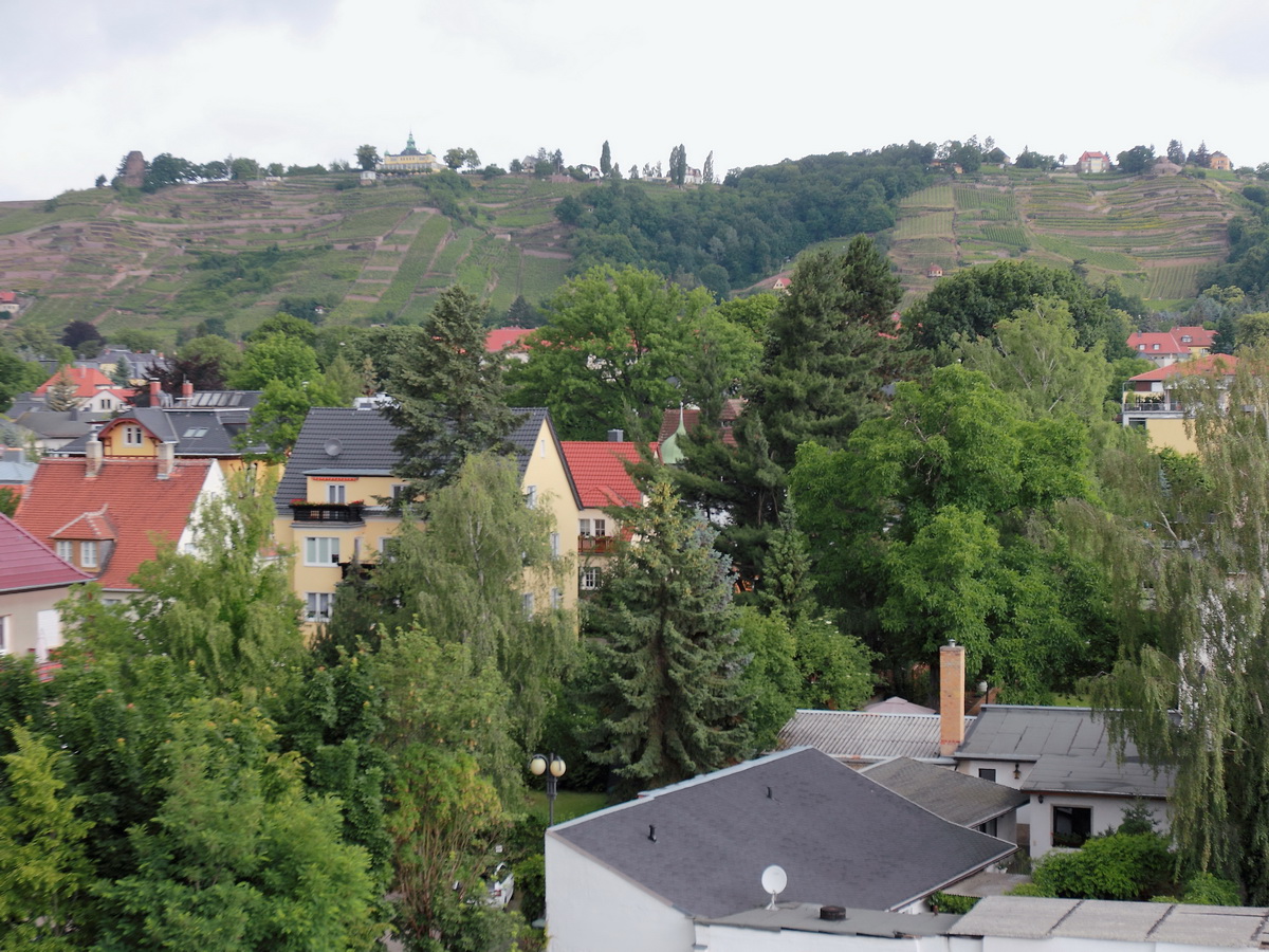 Blick aus dem Karl May Museum auf die Weinberge bei Radebeul am 20. Juni 2015.