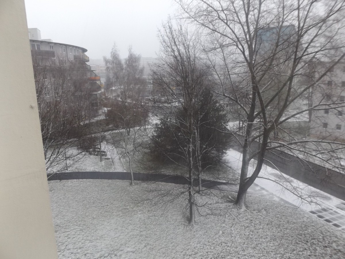 Blick aus meinem Kchenfenster in Richtung Frstenstrae 141 Chemnitz. Passend zur in 54 Minuten beginnenden Bergparade schttelt Frau Holle ihre Betten aus.