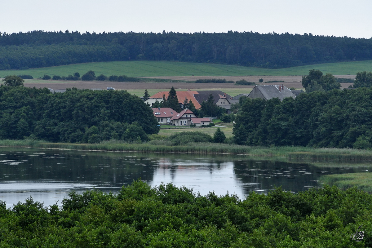 Blick vom Bauwipfelpfad der  Ivenacker Eichen  ber den See auf den Ort Klockow. (August 2021)