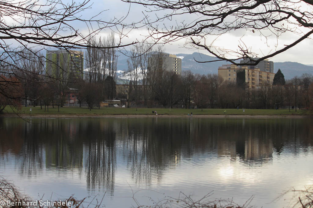 Blick vom Dietenbachsee nach Weingarten-West, im Hintergrund der mit Schnee bedeckte Schnberg. Am 23.01.2016