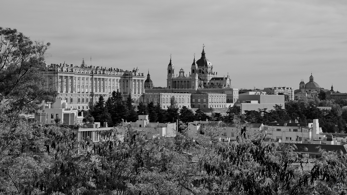 Blick durch die Baumkronen auf den Knigliche Palast (Palacio Real) und die Almudena-Kathedrale (Santa Iglesia Catedral Metropolitana de Santa Mara la Real de la Almudena) . (Madrid, November 2022)