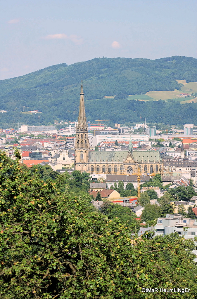 Blick vom Freinberg ber Linz (23.6.2014)