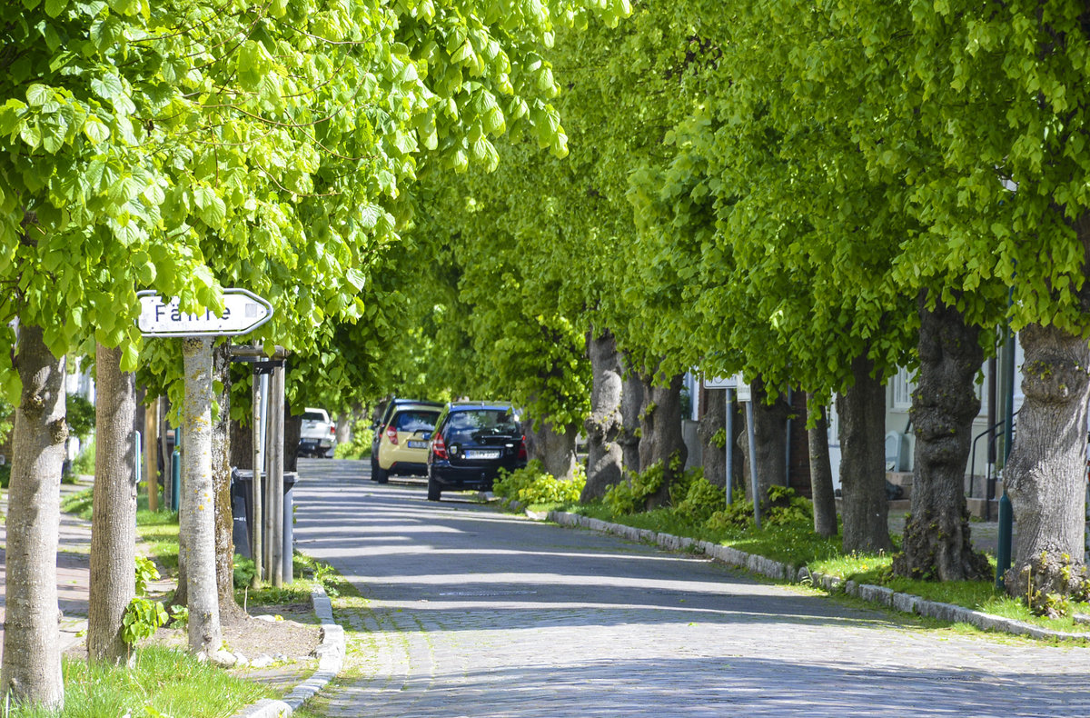 Blick in die Lange Strae in der Stadt Arnis an der Schlei. Zur Zeit der Ortsgrndung war Arnis eine schon 200 Jahre frher durch Abtrennung vom Festland entstandene knstliche Insel in der Schlei, 800 Meter lang und 200 Meter breit. Aufnahme: 11. Mai 2020.