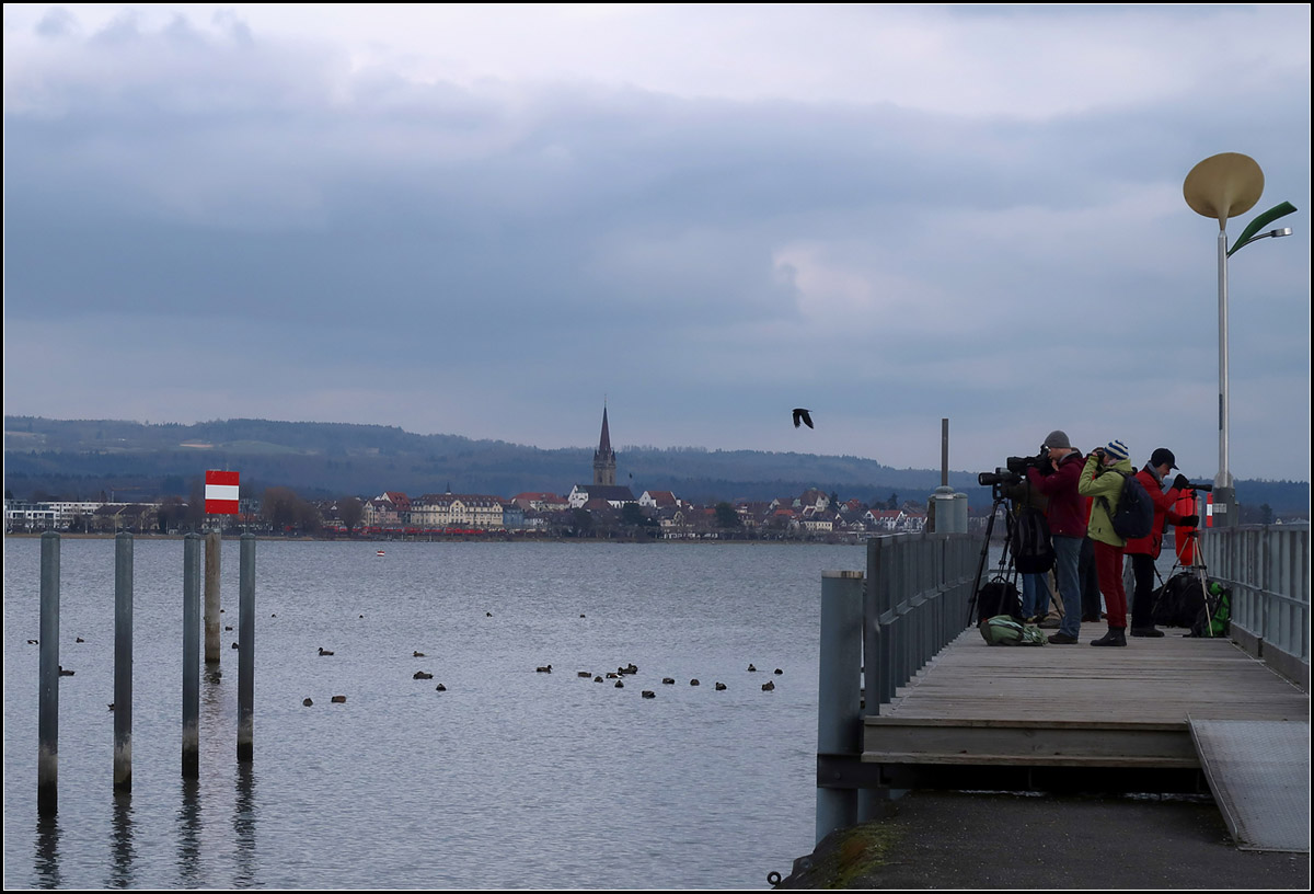 Blick nach Radolfzell - 

Ornithologen bei der Ausbung ihres Hobbys in Moos. Auf der anderen Seite des Bodensees die Stadt Radolfzell mit einem Zug der Schwarzwaldbahn.

Moos, 10.02.2018 (M)