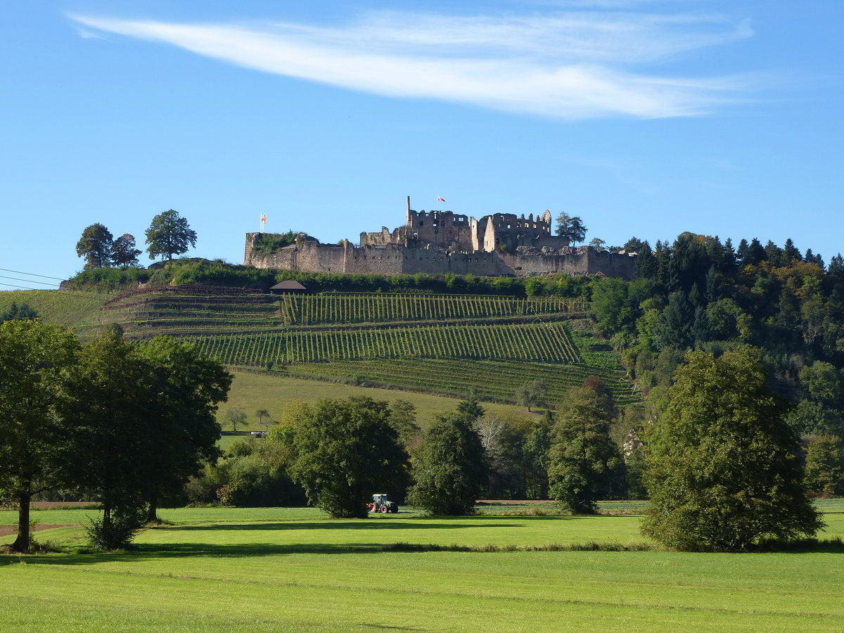 Blick von Osten auf die Ruine der Hochburg, unweit von Emmendingen, Okt.2016