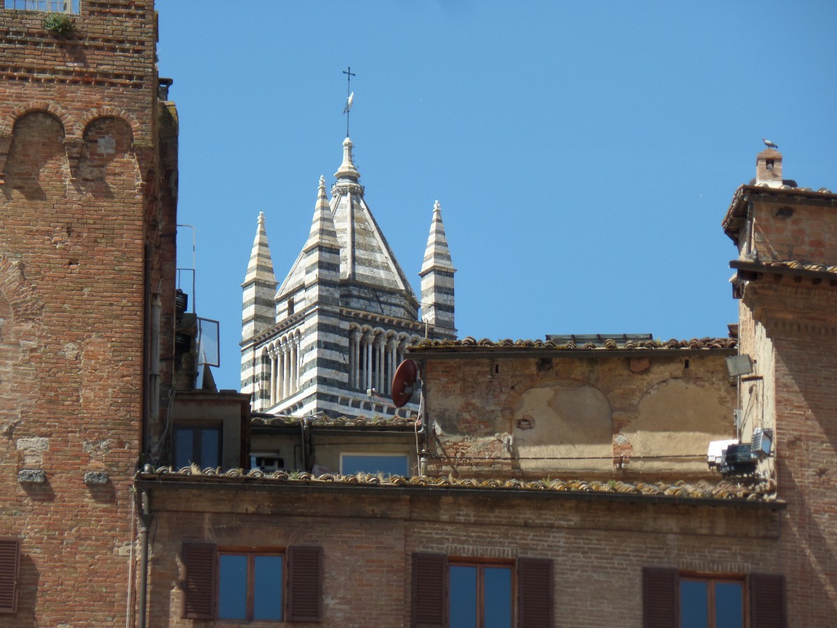 Blick von der Piazza del Campo auf die Spitze des  Domturmes in Sienna , Foto am 20.5.2014
