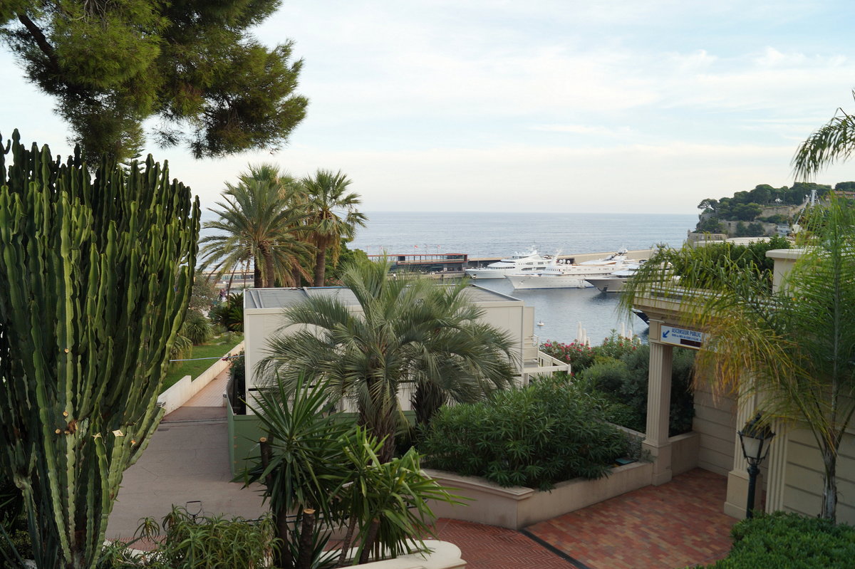 Blick in Richtung Hafen von Monaco im Abendlicht, aufgenommen in der Nhe des bekannten Casinos. Imposant sind die zahlreichen Kakteen, wie hier am linken Bildrand zu erkennen. 08.09.2018.