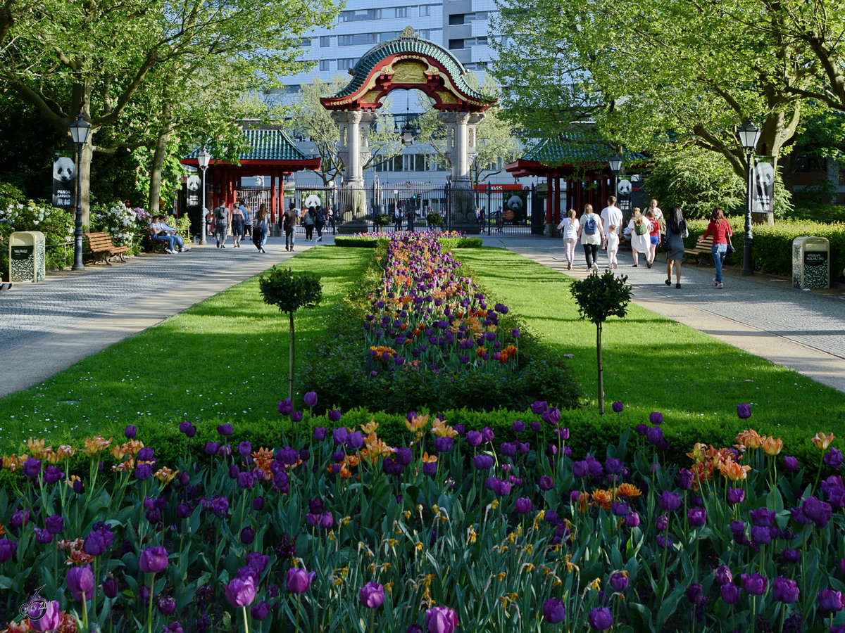 Blick ber den blhenden Grnstreifen auf das Elefantentor des Zoologischen Gartens in Berlin-Mitte. (April 2018)