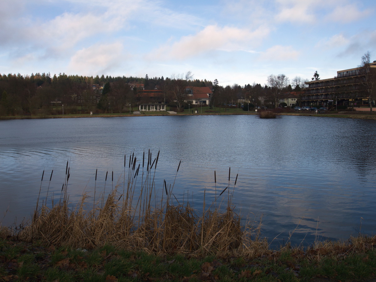 Blick ber den kleinen Kranichsee nach Goslar-Hahnenklee am 24. Dezember 2015.