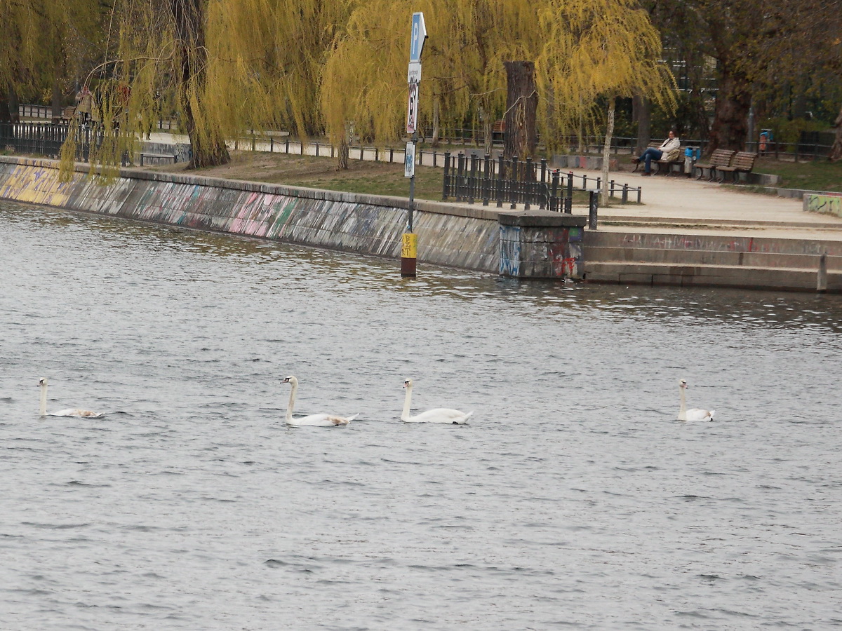 Blick ber den Landwehrkanal vom Planufer in Kreuzberg aus am 04. April 2022 zum Bcklerpark.