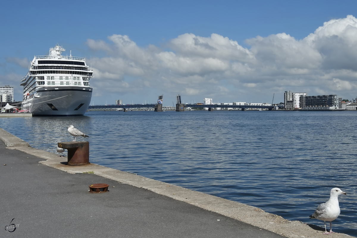 Blick ber den Limfjord mit der geffneten  Limfjordsbroen  in Aalborg. (Juni 2018)