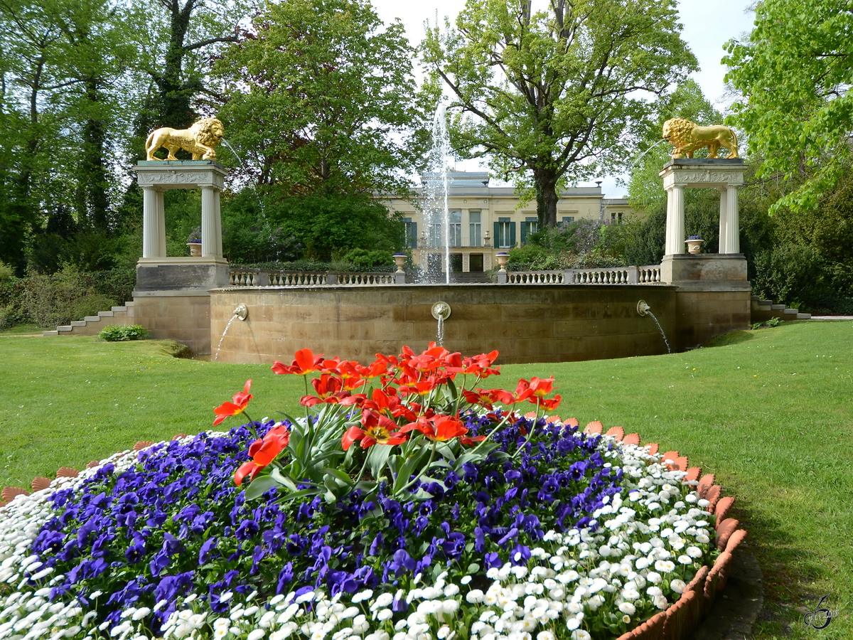 Blick ber die Lwenfontne auf das Schloss Glienicke. (Berlin, April 2018)