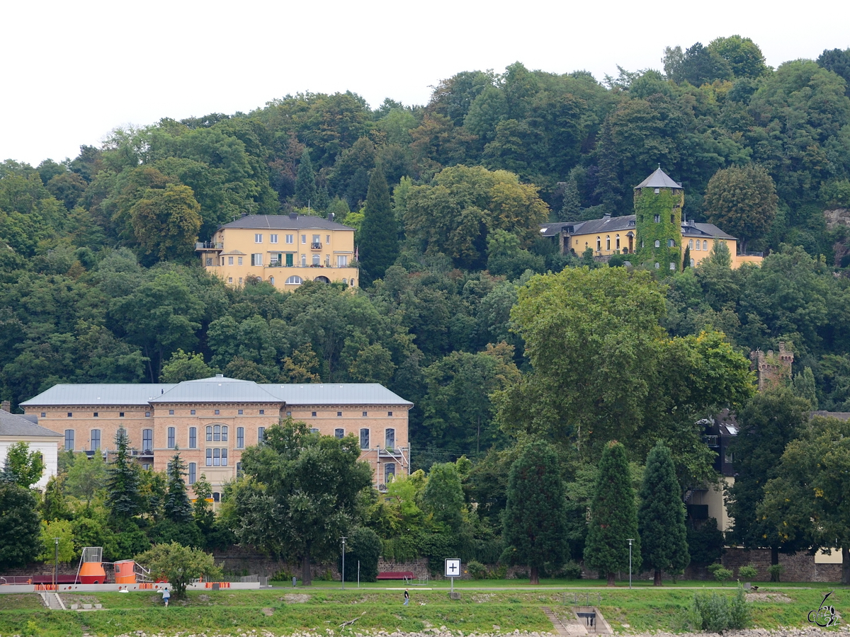 Blick ber den Rhein in die Berge mit einigen Villen. (Koblenz, September 2013)