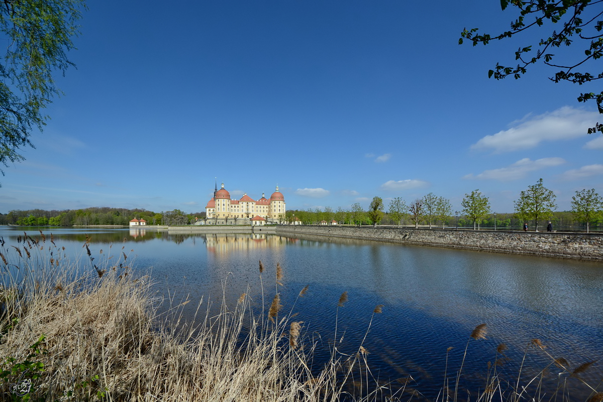 Blick ber den Schlossteich mit Zufahrtsdamm zum Moritzburger Barockschloss. (April 2021)