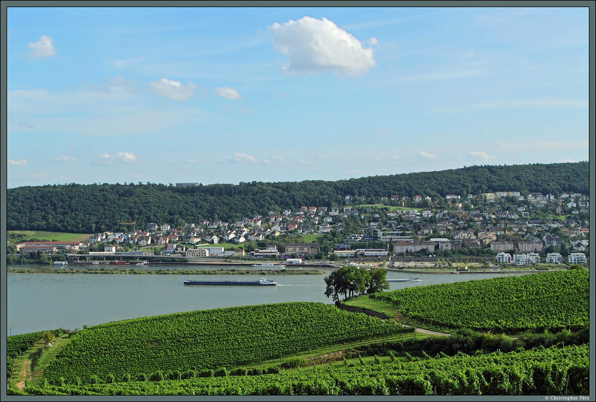 Blick von den Weinbergen bei Rdesheim auf die Stadt Bingen. Hier beginnt das Mittelrheintal, das fr seine zahlreichen Burgen bekannt ist. Ein Frachtschiff verlsst diesen Abschnitt nun und setzt seine Fahrt weiter rheinaufwrts fort, um in Krze Wiesbaden und Mainz zu passieren. (aufgenommen aus der Seilbahn Rdesheim, 09.08.2014)