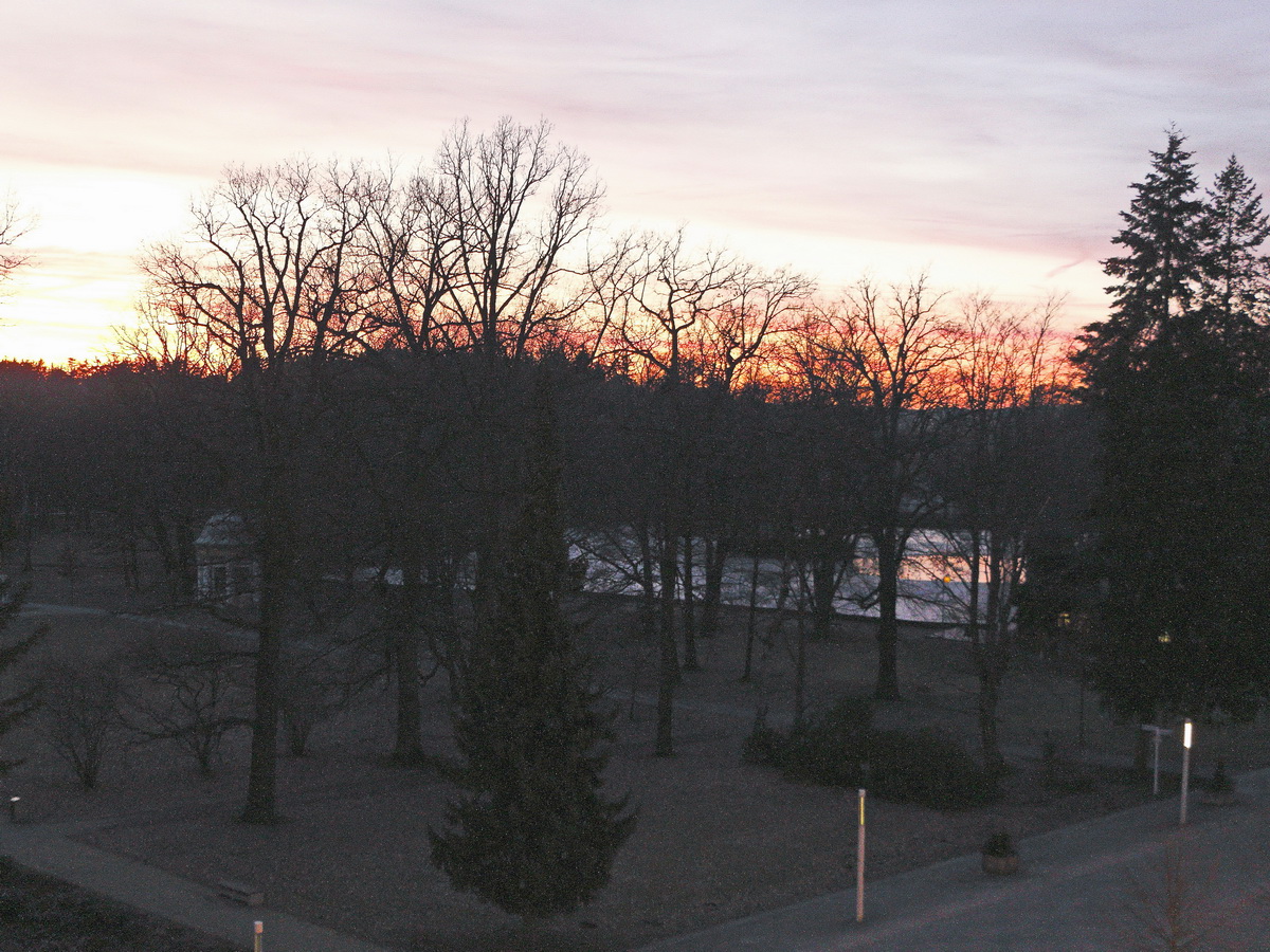Blick in den Westend Park zum Schwanensee am 17. Februar 2019 am Abend.
