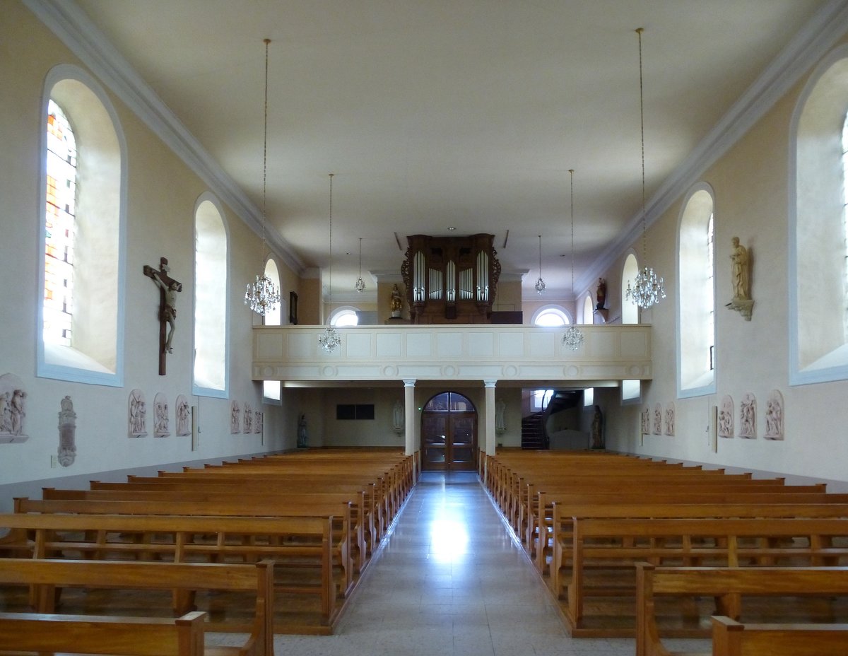 Blodelsheim, Blick zur Orgelempore in der Kirche St.Blasius, Juni 2017