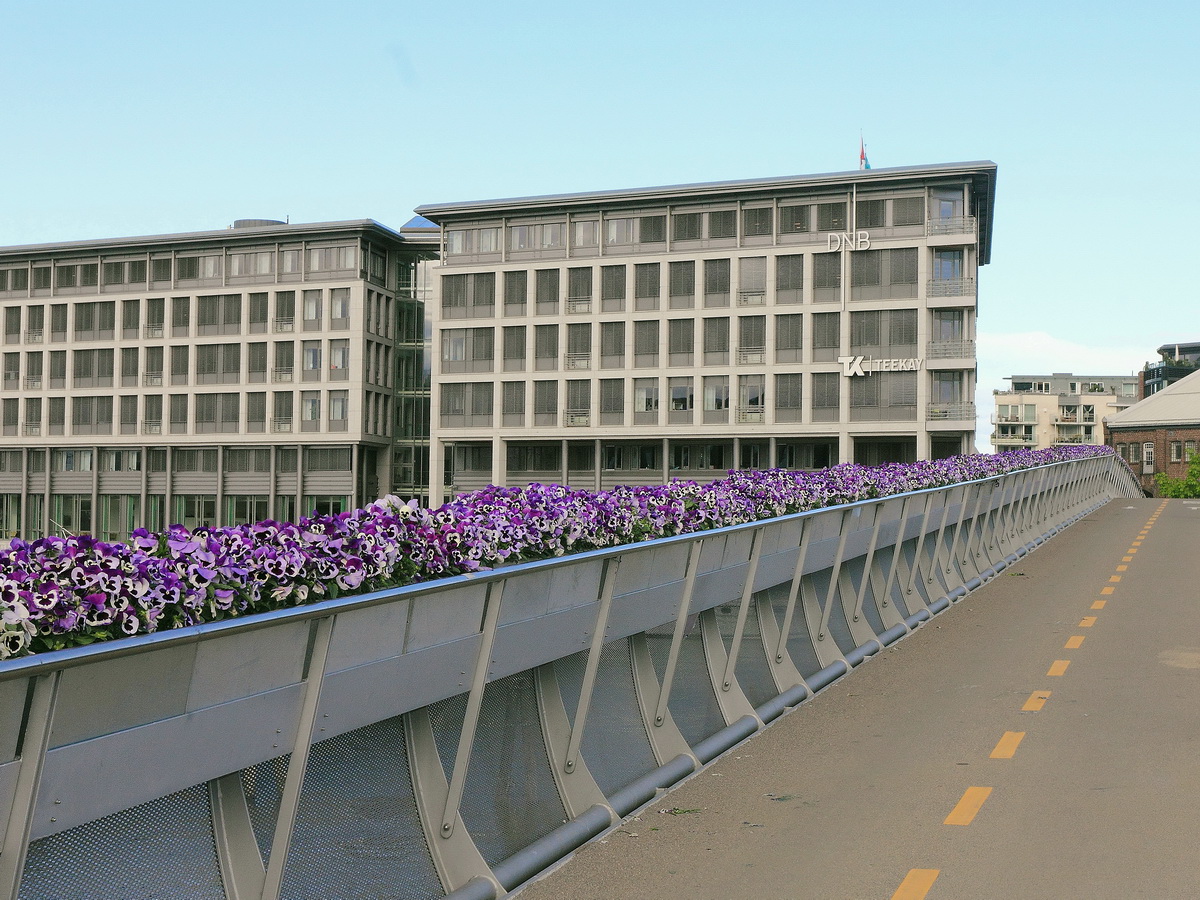 Blomsterbrua („Blumen-Brücke“) in Trondheim, Norwegen am 28. Juni 2016