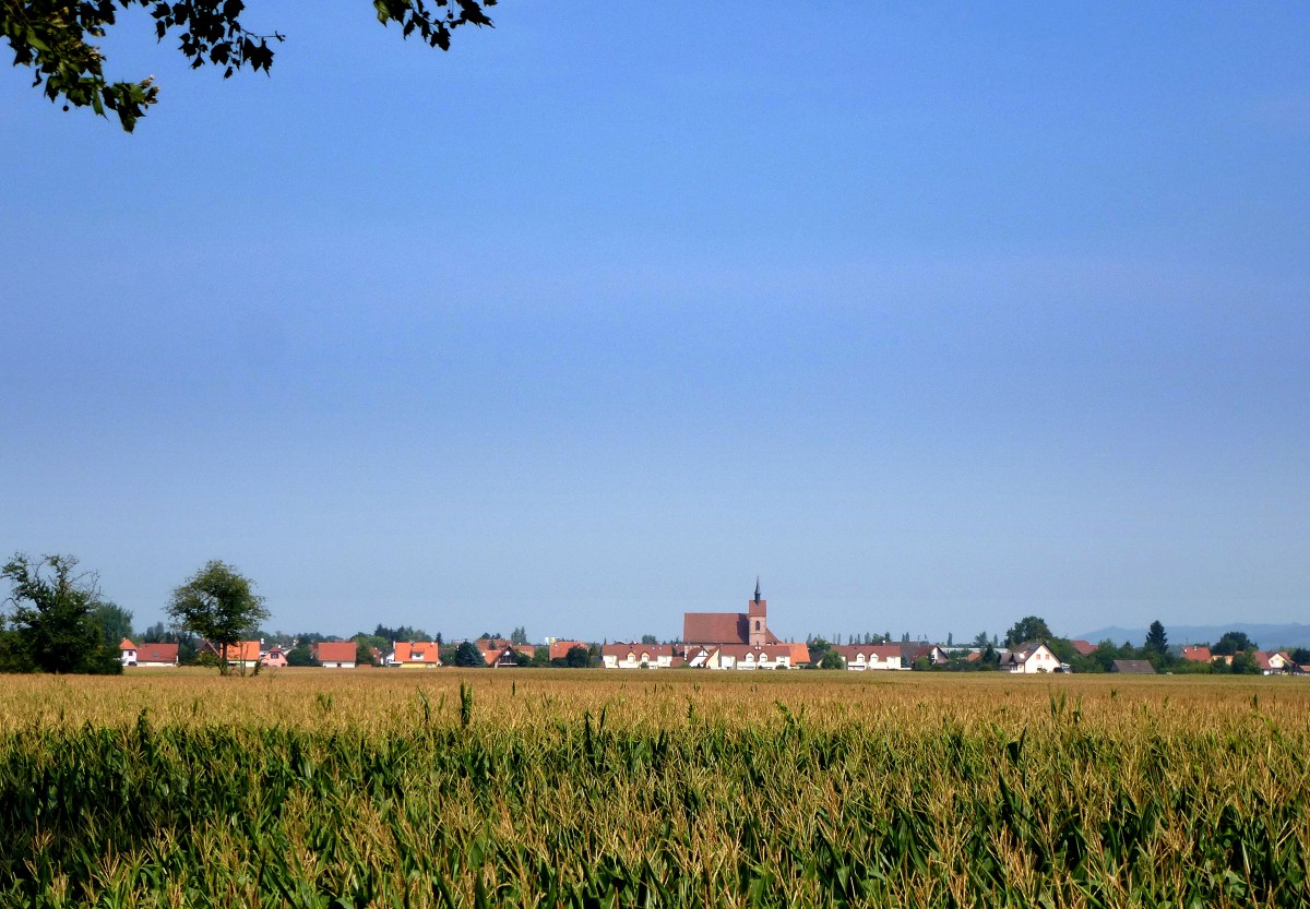 Blotzheim, Blick auf den Ort im sdlichen Elsa, Aug.2015