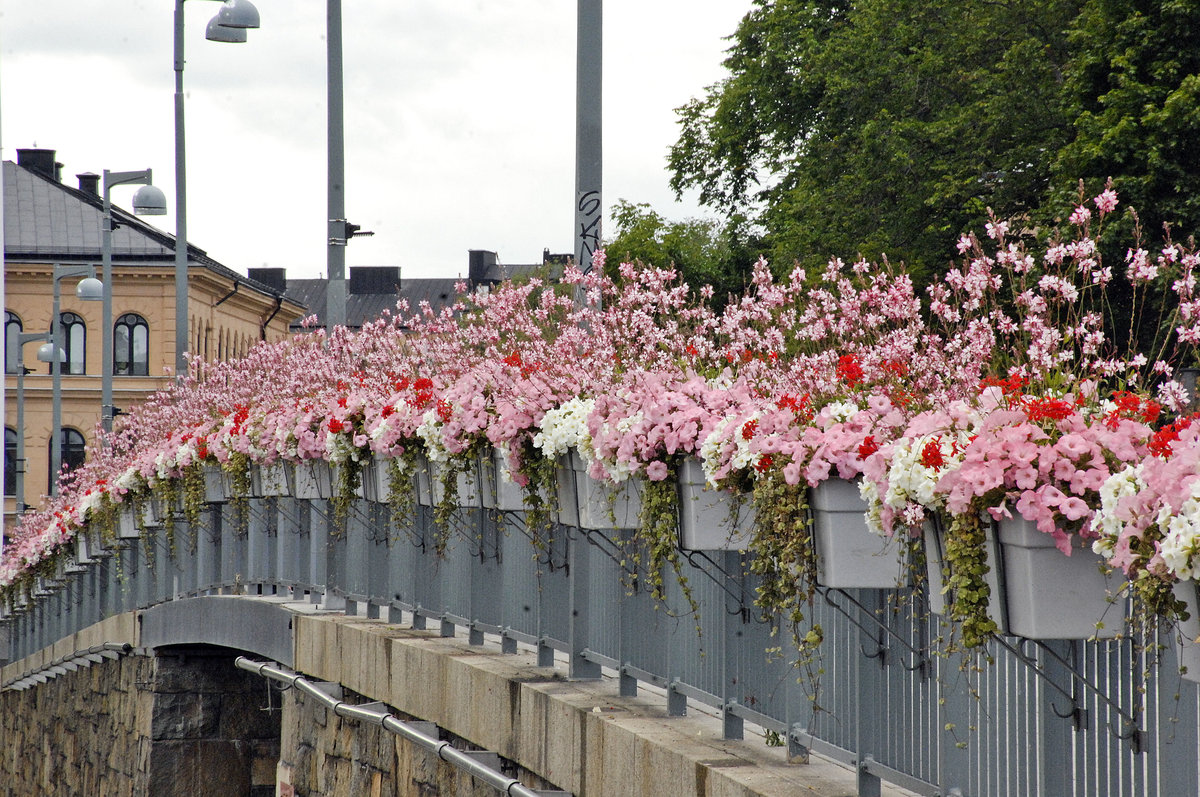 Blumen an der Brcke Stadhusbron. Die Brcke verbindet Kungsholmen mit Stockholm City. 
Aufnahme: 26. Juli 2017.