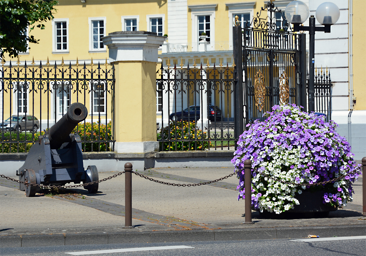 Blumen und Kanone am Schlo Neuwied - 30.06.2015