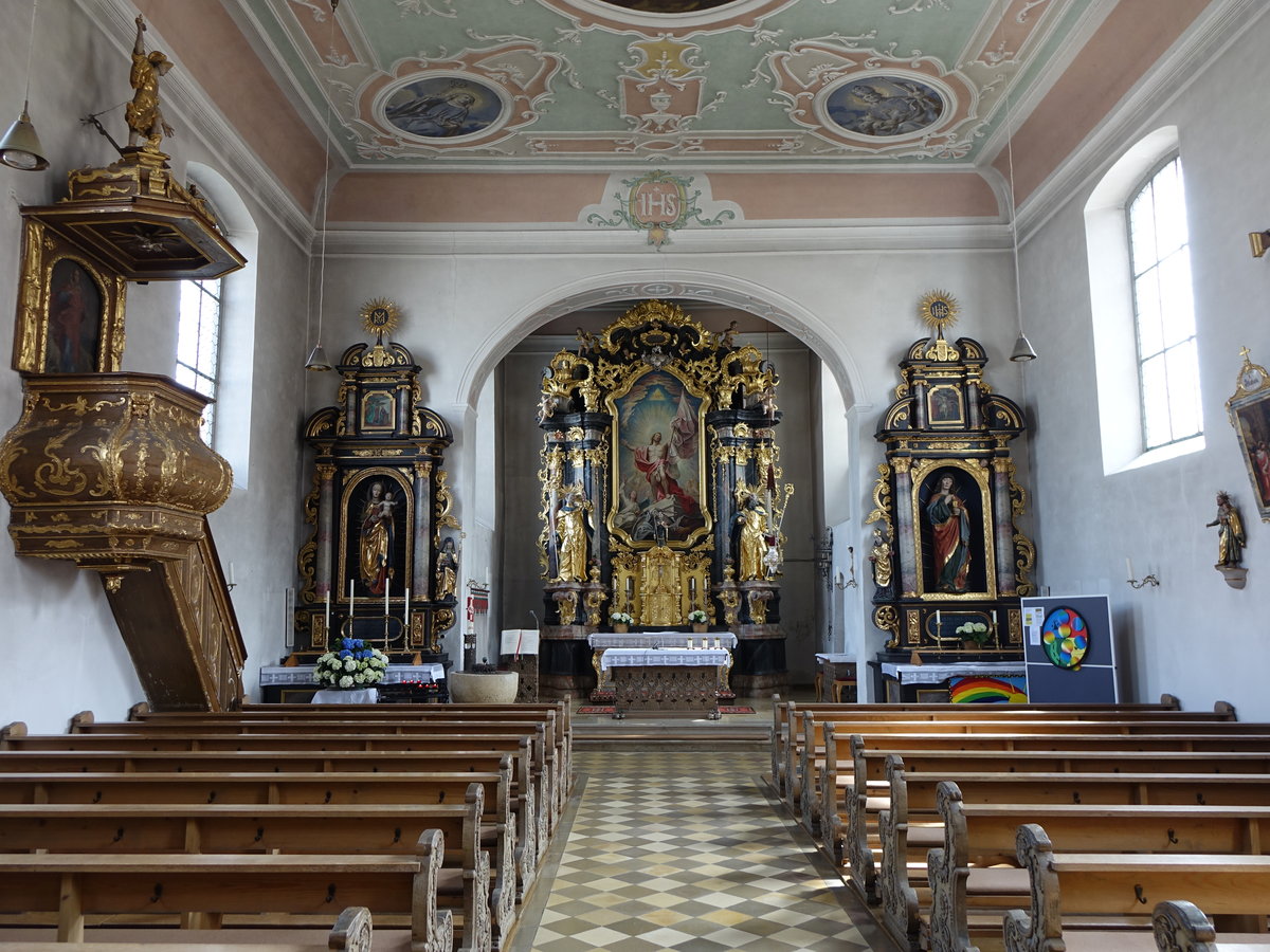 Bhmfeld, kath. Pfarrkirche St. Bonifatius, barocke Ausstattung von Domenico Maria Salle, erbaut von 1792 bis 1793 (01.05.2016)
