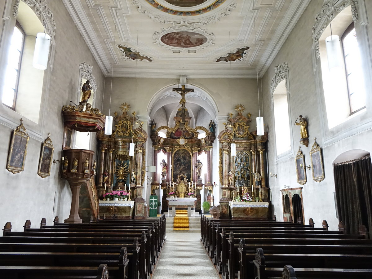 Bttigheim, Innenraum der Maria Himmelfahrt Kirche (15.06.2016)