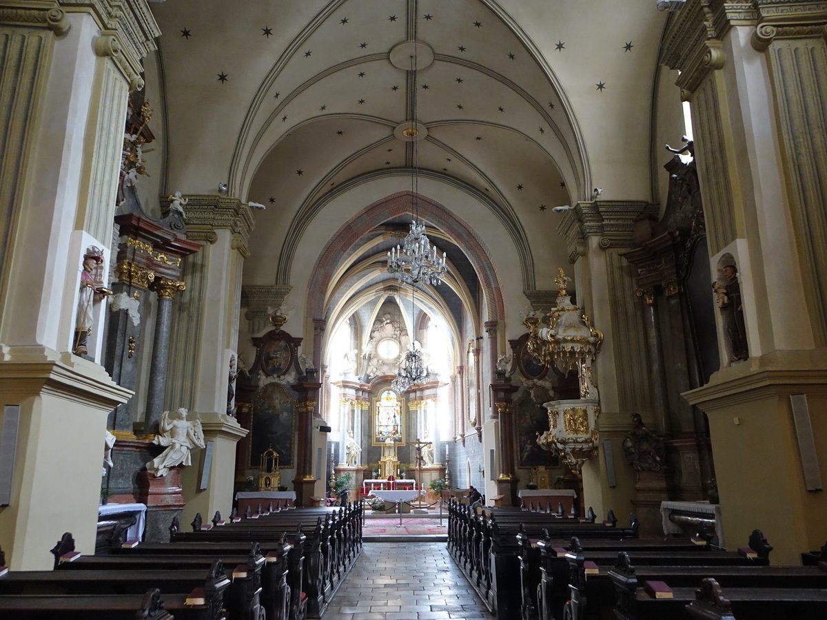 Bratislava, barocker Innenraum der Franziskanerkirche (28.08.2019)