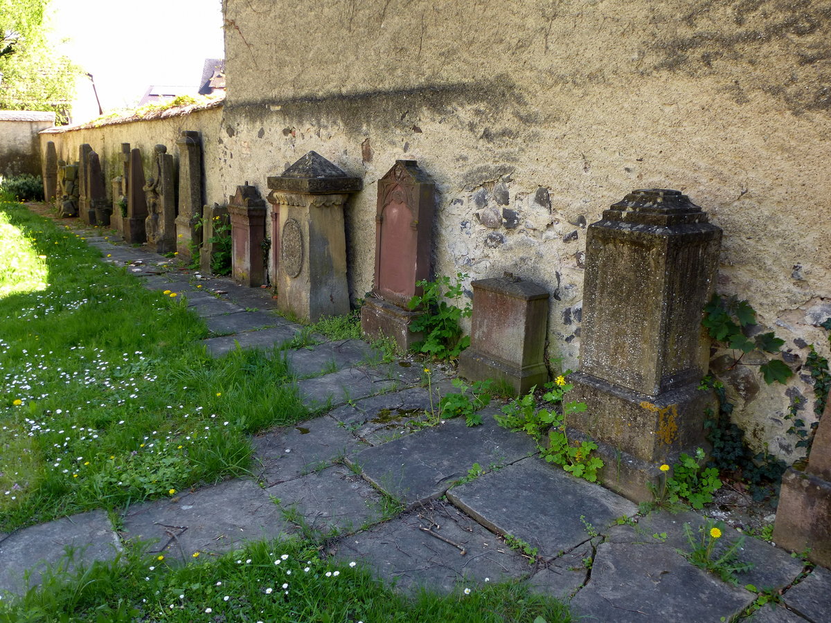 Breisach, historische Grabsteine am Alten Friehof an der St.Josephskirche, April 2017