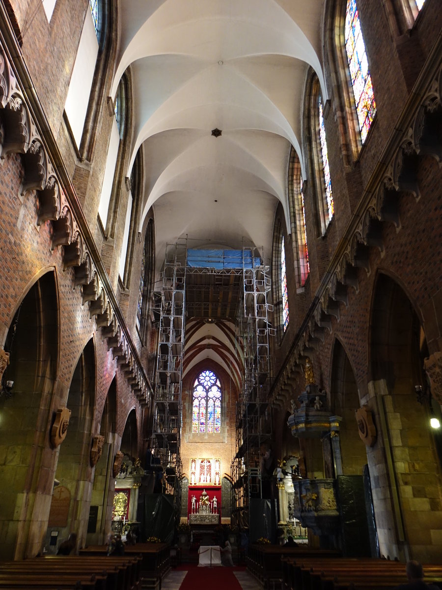 Breslau / Wroclaw, Mittelschiff der Kathedrale St. Johannes (03.10.2020)