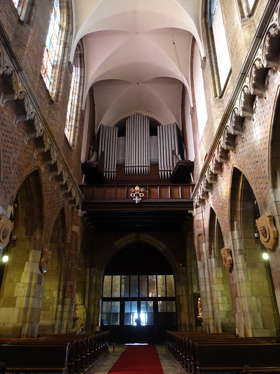Breslau / Wroclaw, Orgelempore in der Kathedrale St. Johannes (03.10.2020)