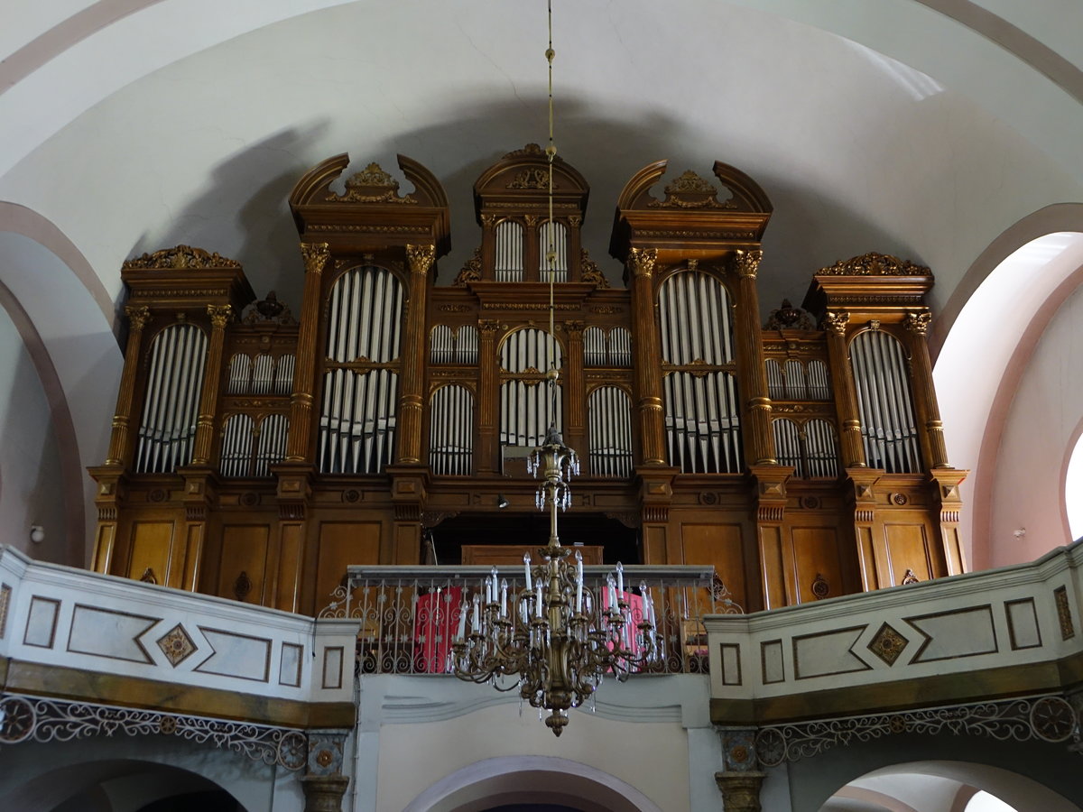 Brezno / Bries, Orgelempore in der Evangelischen Kirche (07.08.2020)
