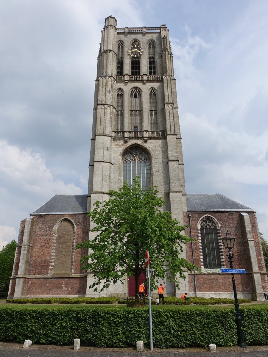 Brielle, St. Catharina Kirche, erbaut ab 1417 im Stil der Brabanter Gotik (11.05.2016)