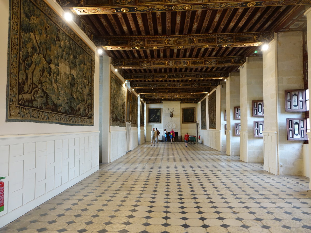 Brissac, Grand Galerie im Chateau, Flmische Wandteppiche aus dem 16. Jahrhundert (09.07.2017)