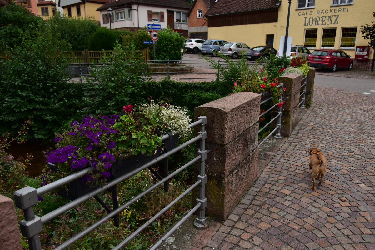 Brcke der Hauptstrae ber den Seebach in Neckargerach, die mit Blumenschmuck verschnert wird jedes Jahr. 9.9.2017
P.S. der Kampfdackel heisst Benji. ;-)