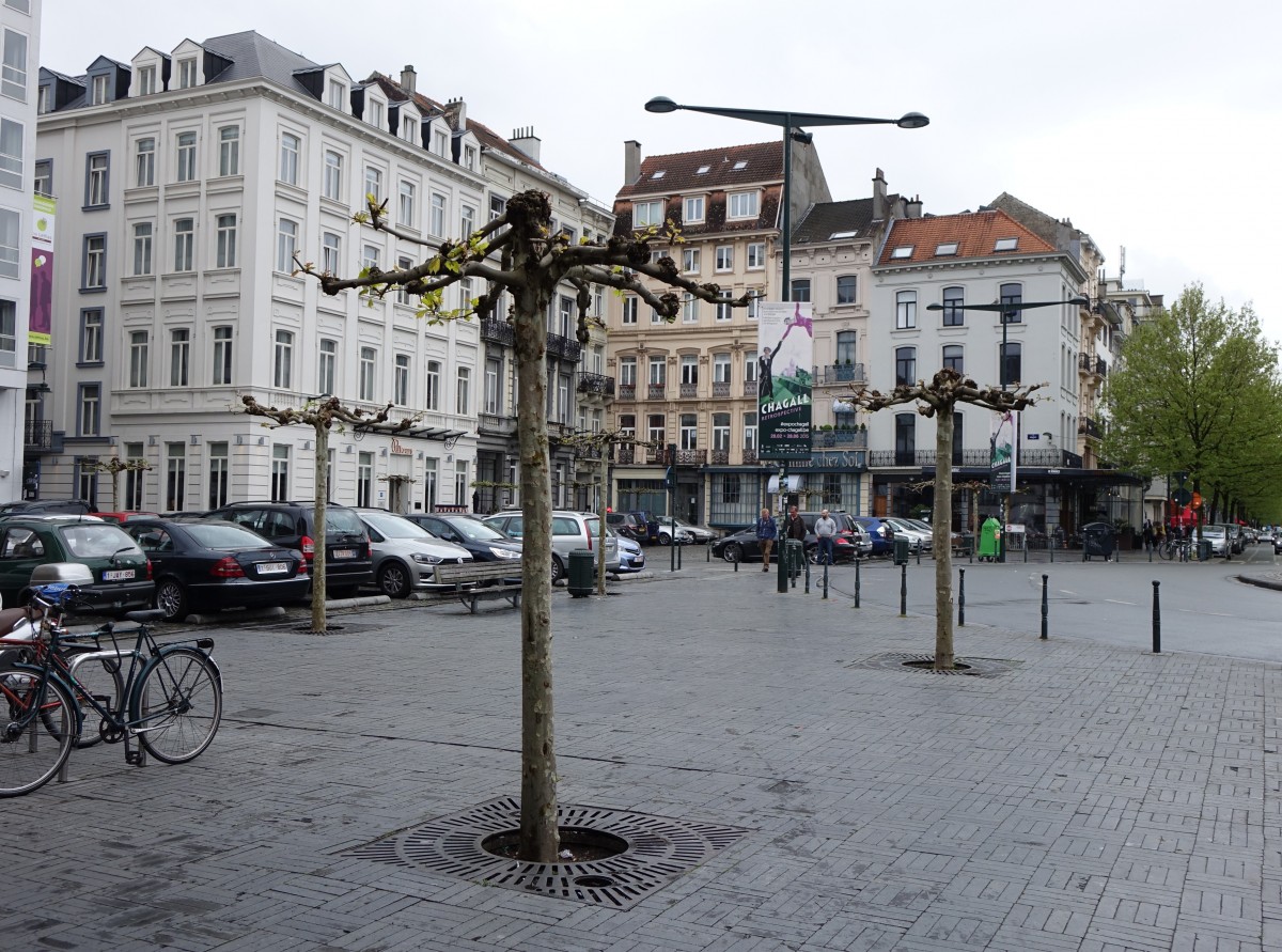 Brssel, Huser am Place Rouppe (26.04.2015)