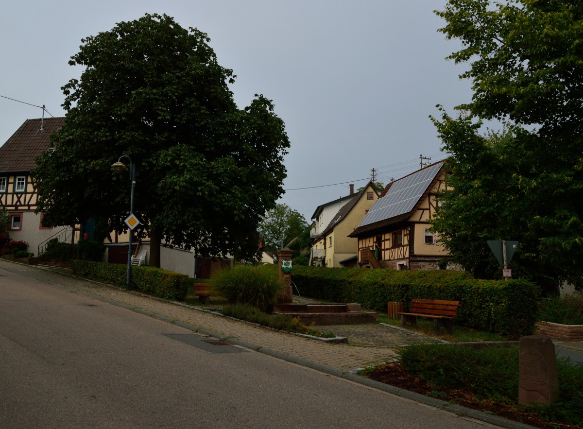 Brunnen in Reichenbuch bei Mosbach Baden.6.8.2013