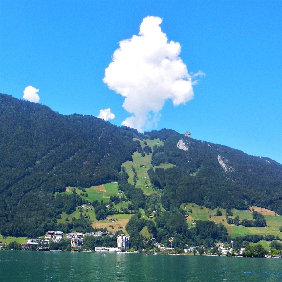 Brunnen, Sicht auf dem Urmiberg, der Hausberg von Brunnen - 17.07.2014