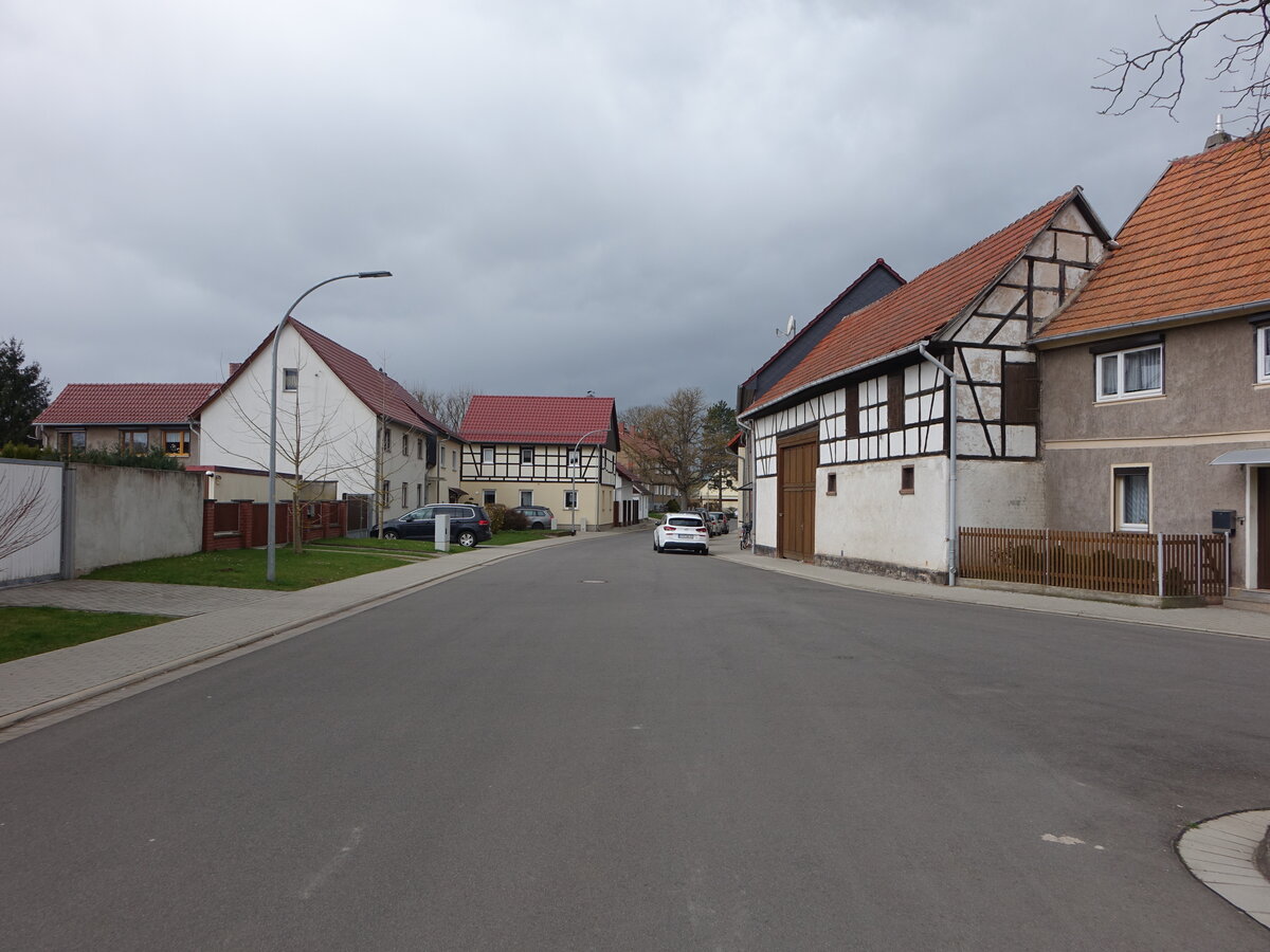 Bufleben, Fachwerkhuser in der Bufleber Kirchstrae (25.03.2023)