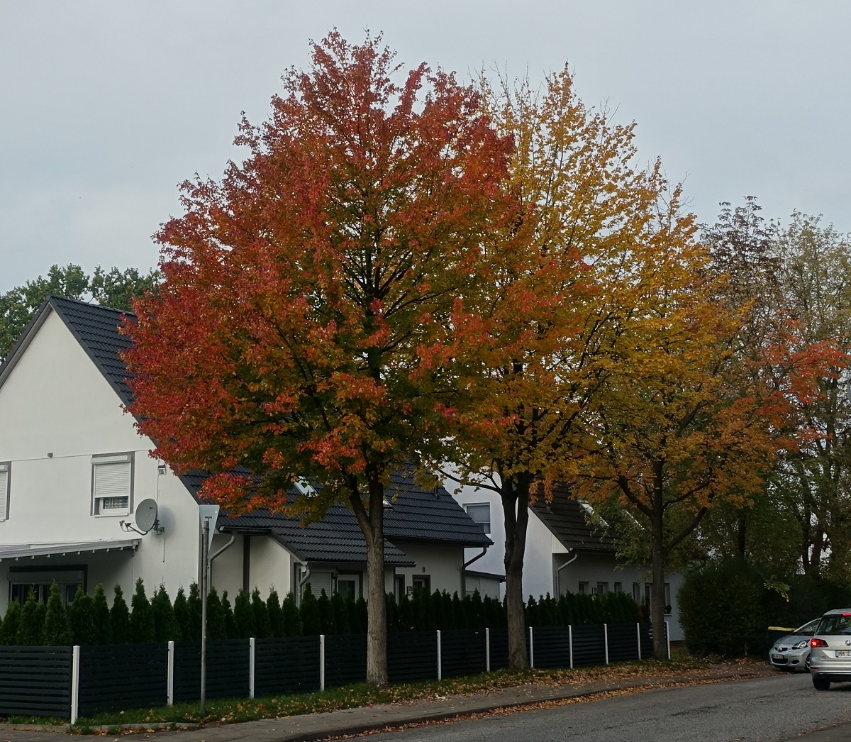 Bunter Herbst in Hamburg, im Stadtteil Billstedt am 23.10.2020 /